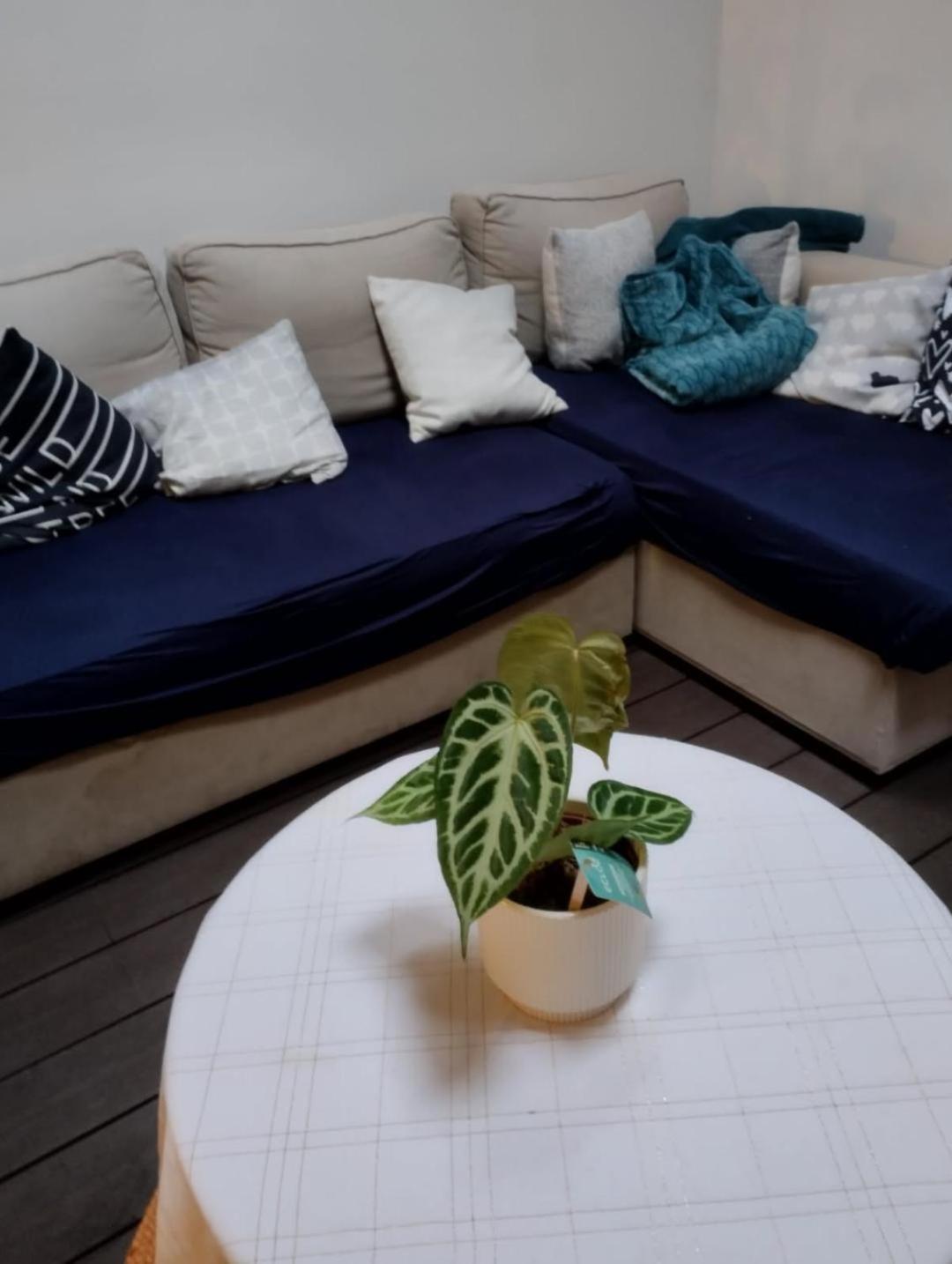 Ideal Vieille Ville De Boulogne La Boulonnaise ! Экстерьер фото